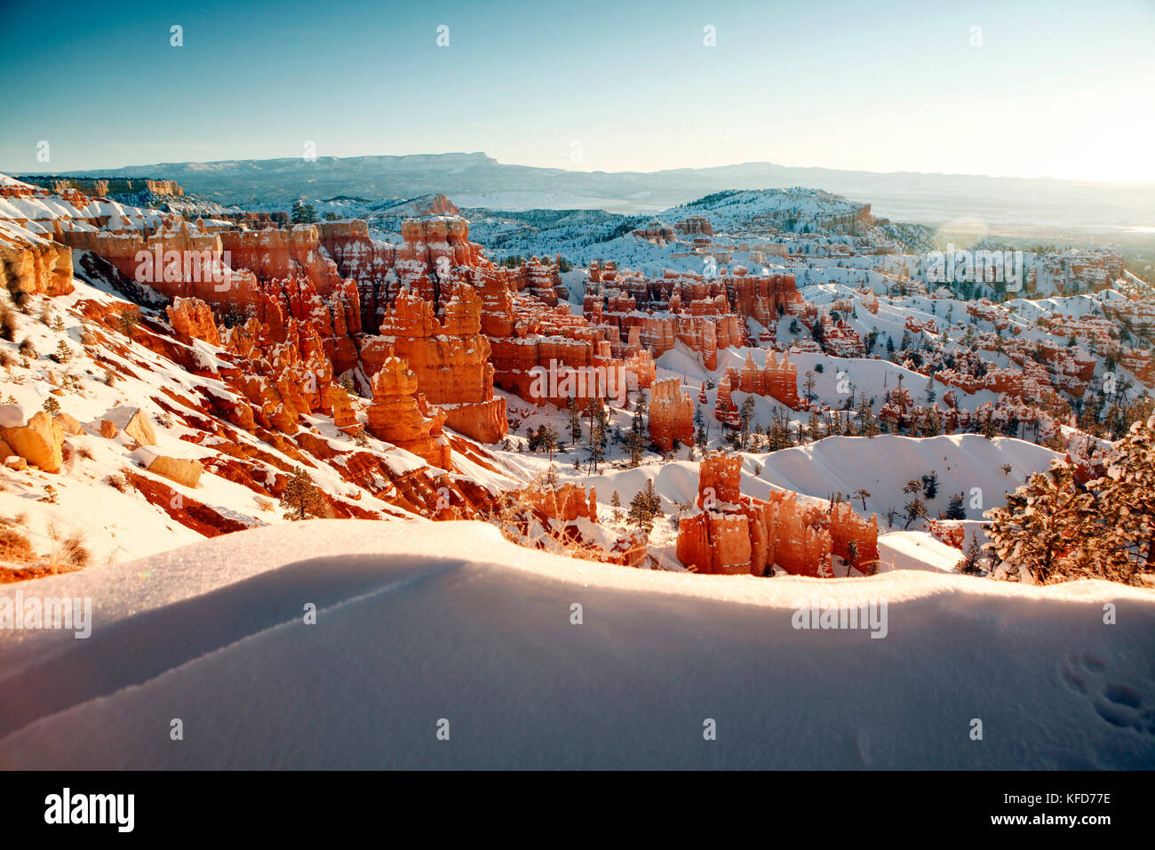 Stati Uniti d'America, Utah, Bryce Canyon city, il parco nazionale di Bryce Canyon e ampie vedute del bryce anfiteatro e hoodoos dal punto di sunrise Foto Stock