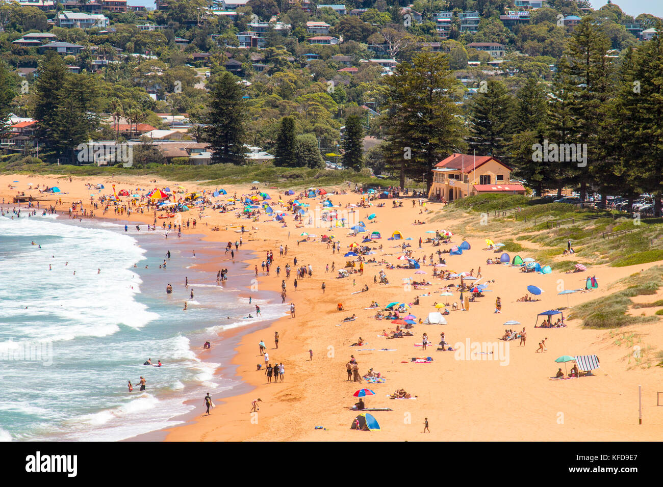 Newport Beach a Sydney, una delle famose spiagge del nord di Sydney, Nuovo Galles del Sud, Australia Foto Stock