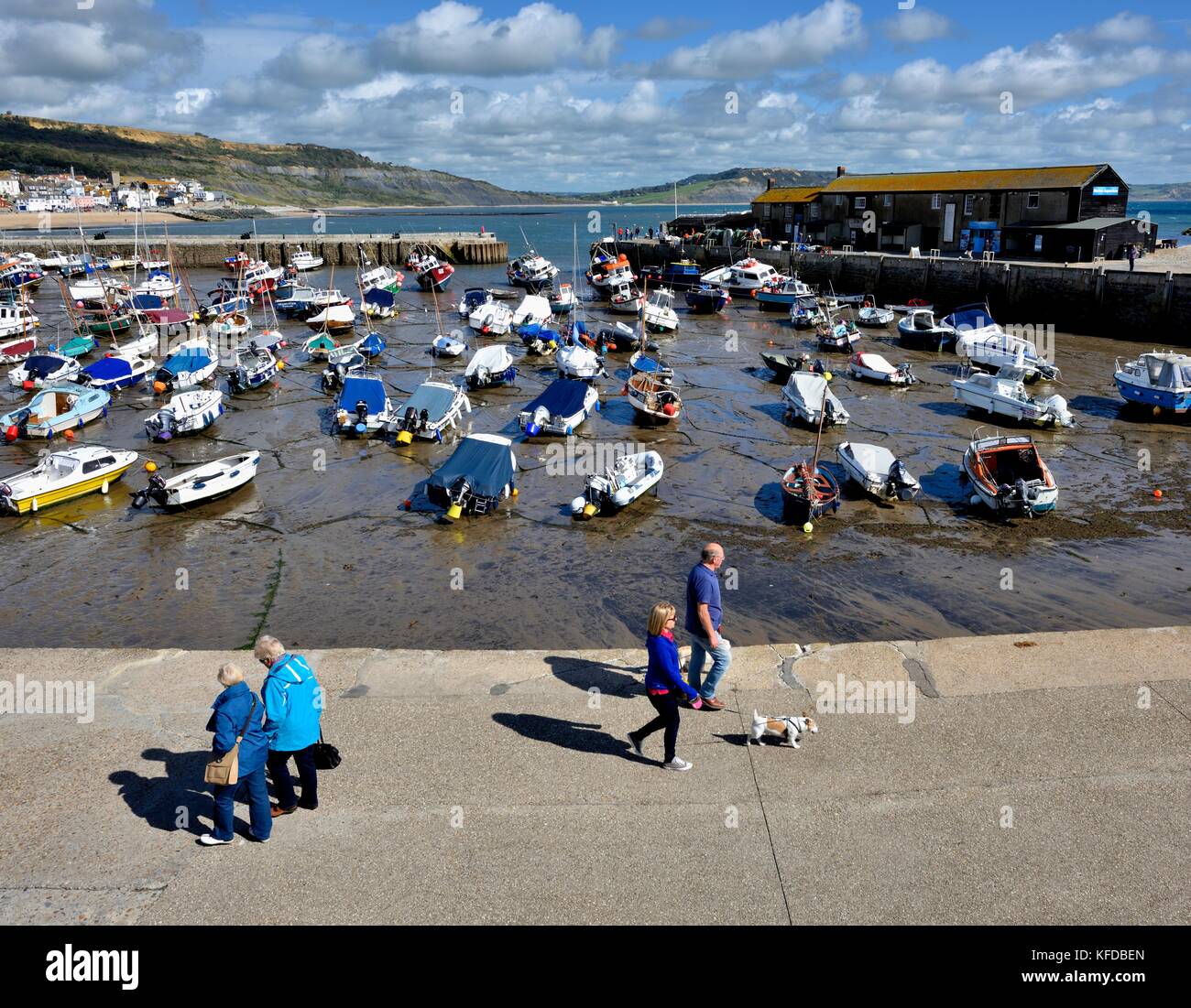 La gente camminare lungo il Cobb Lyme Regis Dorset England Regno Unito Foto Stock