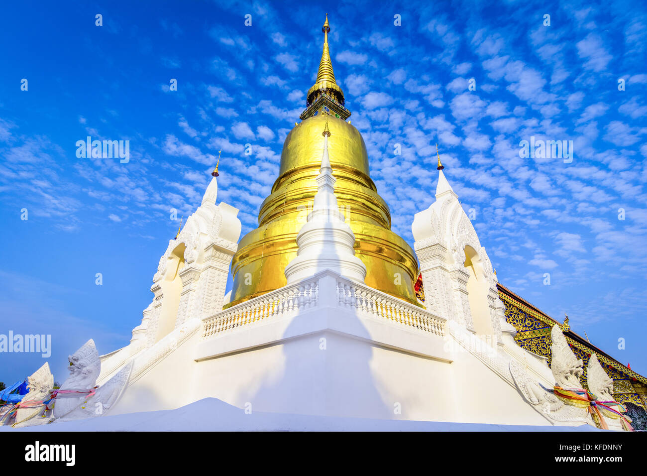 Wat Suan Dok, un tempio buddista, Wat in Chiang Mai nel nord della Thailandia. Si tratta di un tempio reale della terza classe. Il tempio si trova lungo la strada Suthep Foto Stock