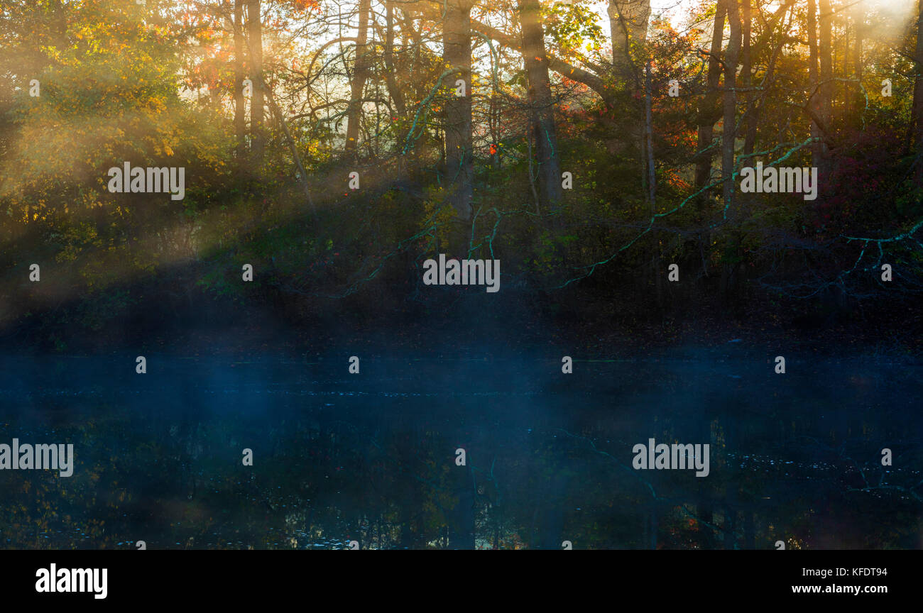 Mattina mistico sul lago con il sole e la nebbia in ottobre Foto Stock