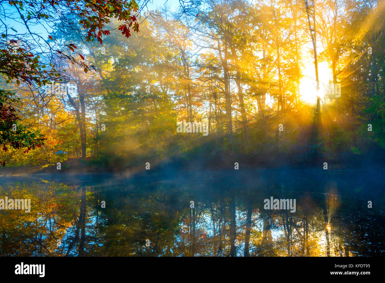 Fredda ma incredibile mattina sul lago con la luce del sole e la nebbia in ottobre Foto Stock