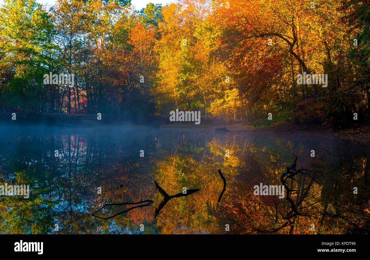 Colori d'autunno sfondo con nebbia e alberi riflesso nell'acqua Foto Stock