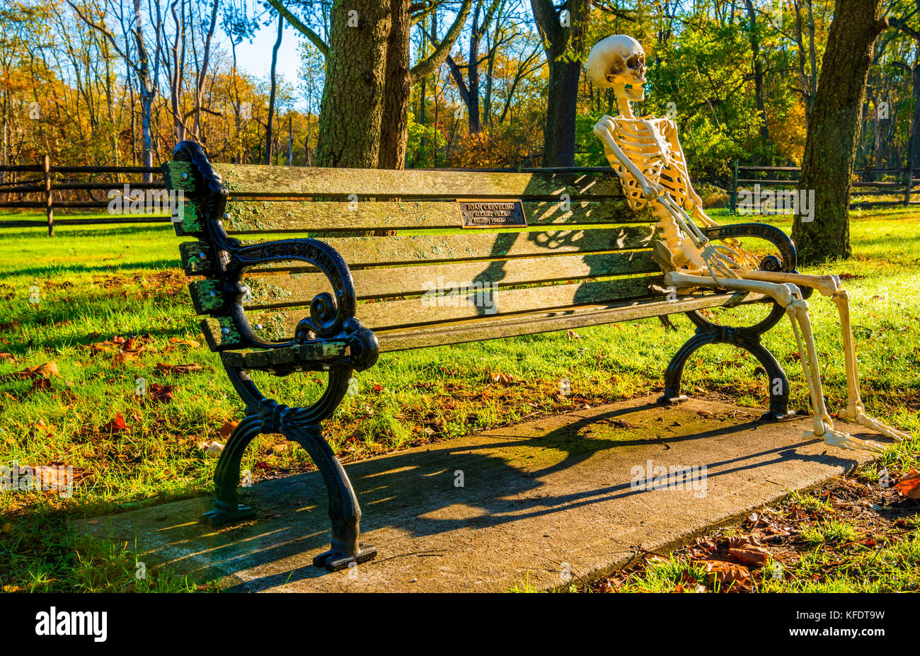 Rilassante dello scheletro sul banco di halloween Foto Stock