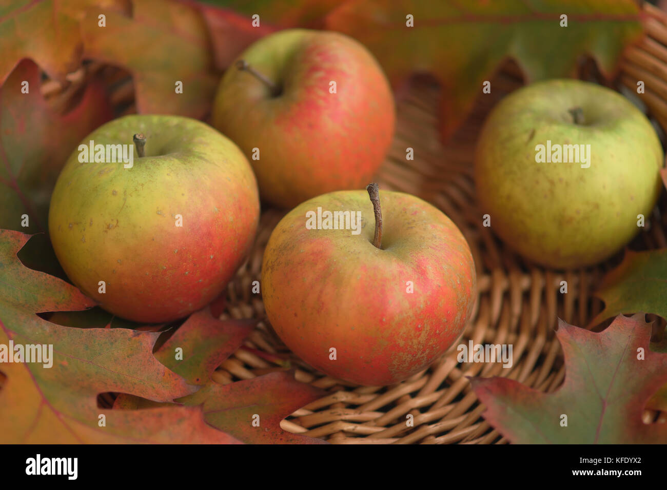 Le mele su un sfondo di vimini Foto Stock