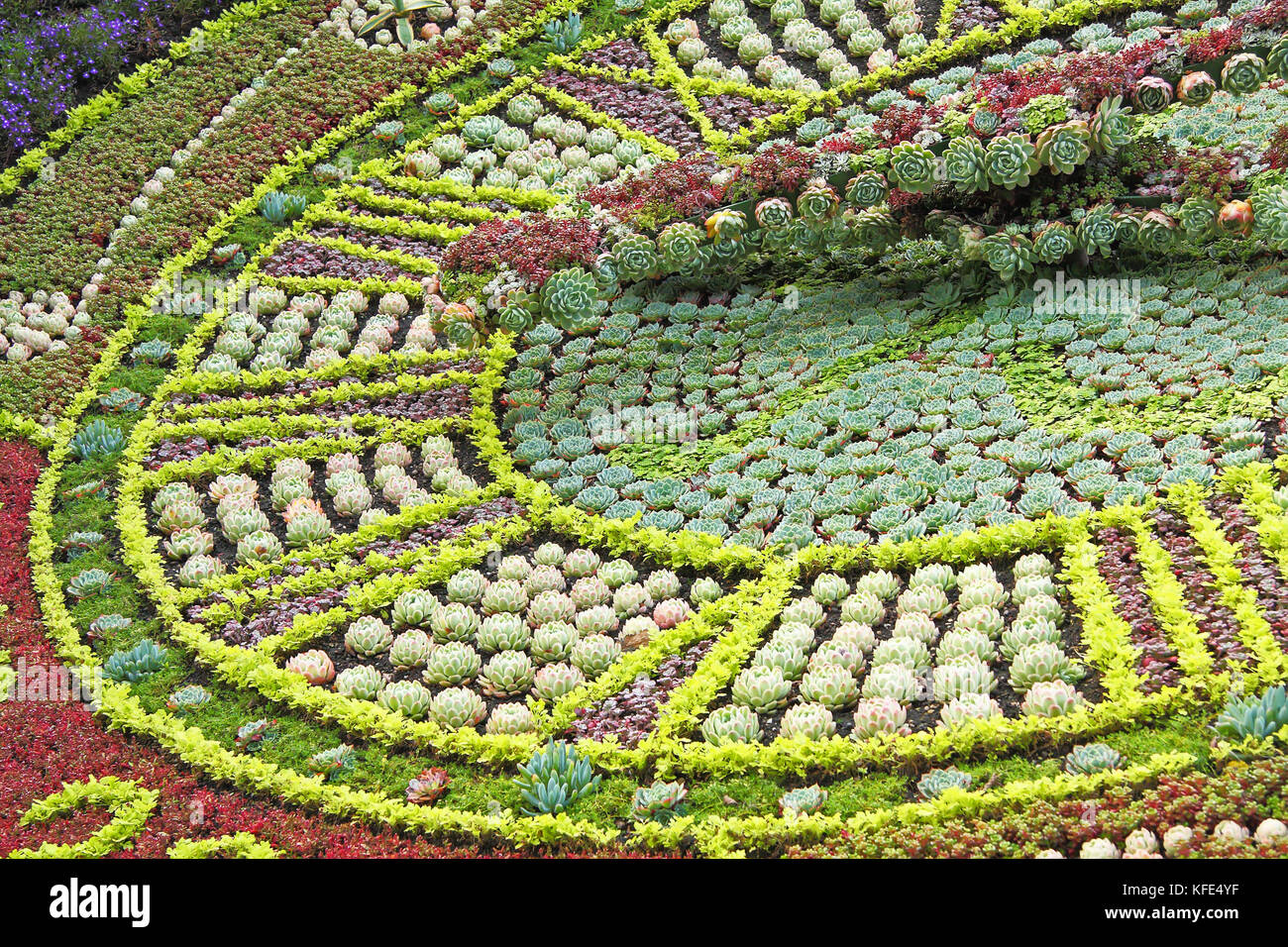 Orologio fabbricato di fiori in strade Princes Gardens, Edimburgo, Scozia. uk. Foto Stock