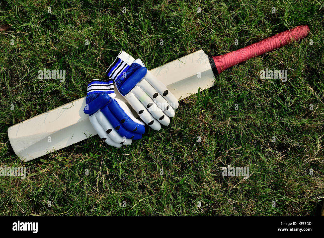 Guanti di cricket e bat su erba verde Foto Stock