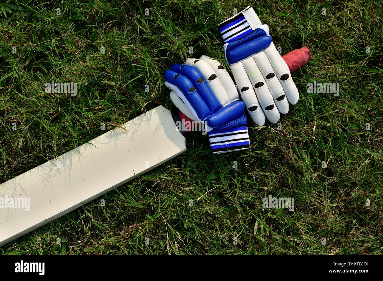Guanti di cricket e bat su erba verde Foto Stock