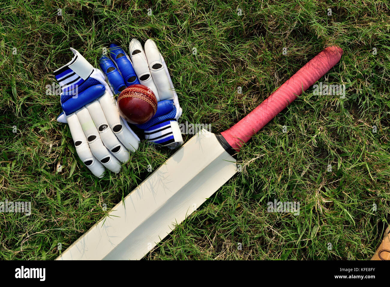 Palle Da Cricket Da Allenamento - 6 Pezzi, Arancione, Senior - Foto 7