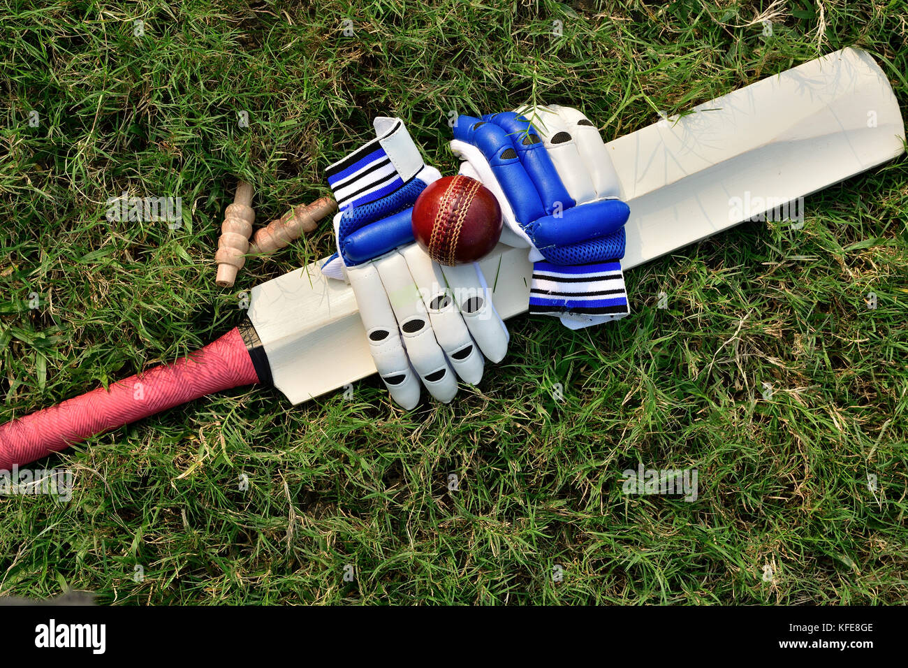 Guanti di cricket e bat su erba verde Foto Stock
