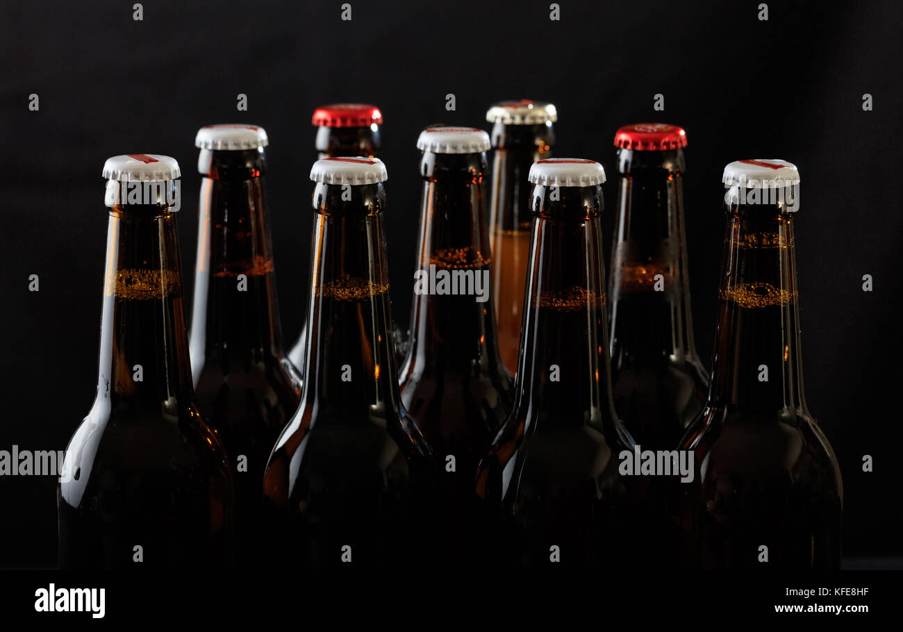Raccolta di sigillato bottiglie di birra su sfondo nero Foto Stock