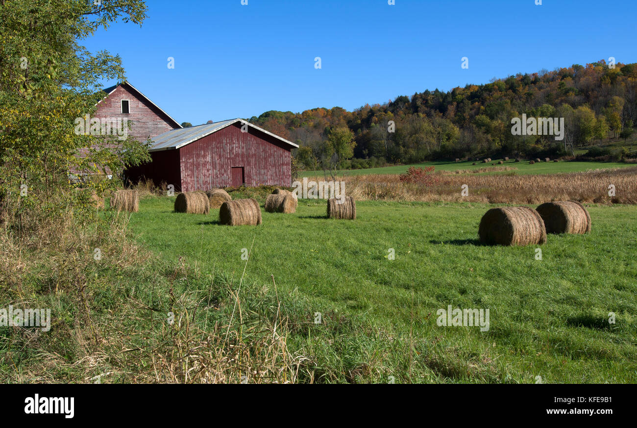 I rotoli di fieno di rosso e un fienile in central Vermont, USA Foto Stock