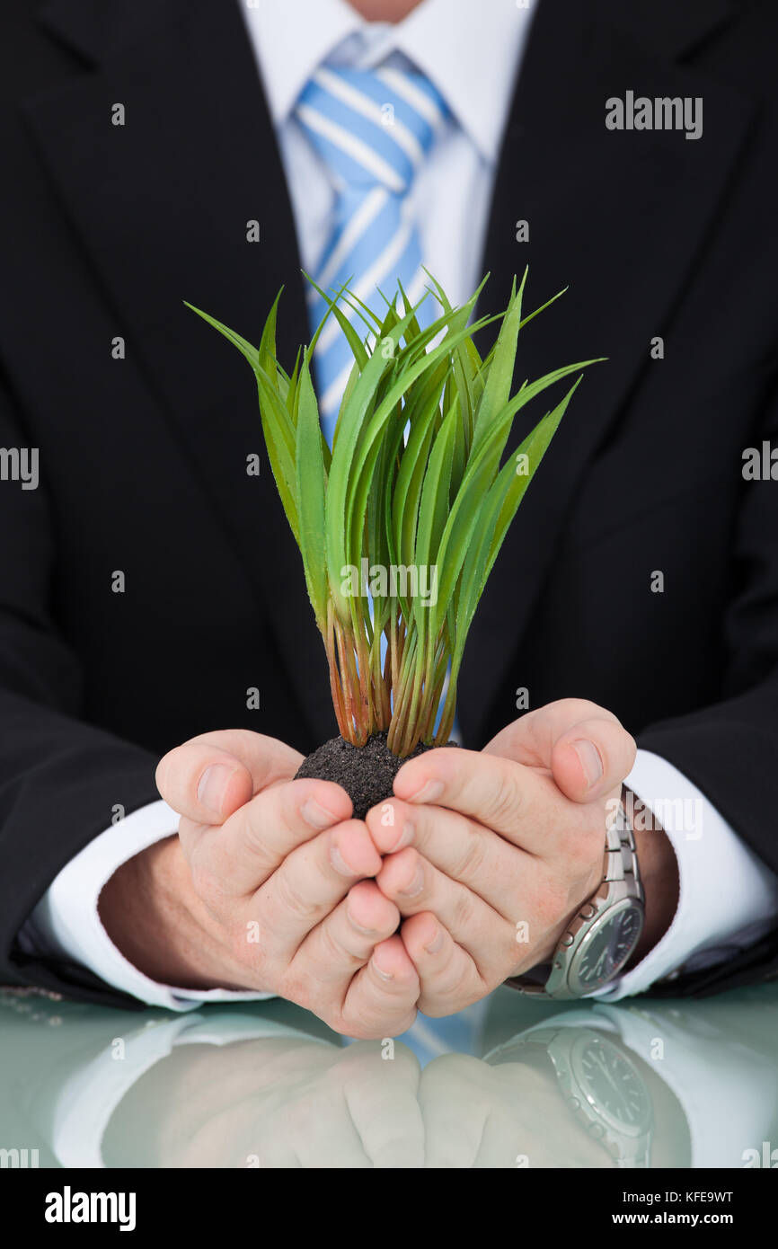 Sezione mediana del giovane imprenditore tenendo alberelli alla scrivania in ufficio Foto Stock