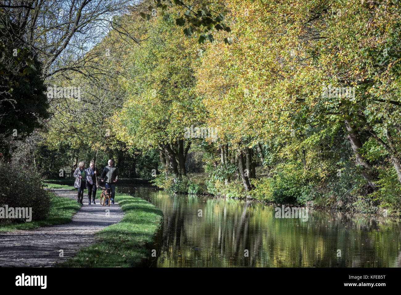 Il Leeds e Liverpool canal a Riddlesden, vicino a Keighley, West Yorkshire Foto Stock