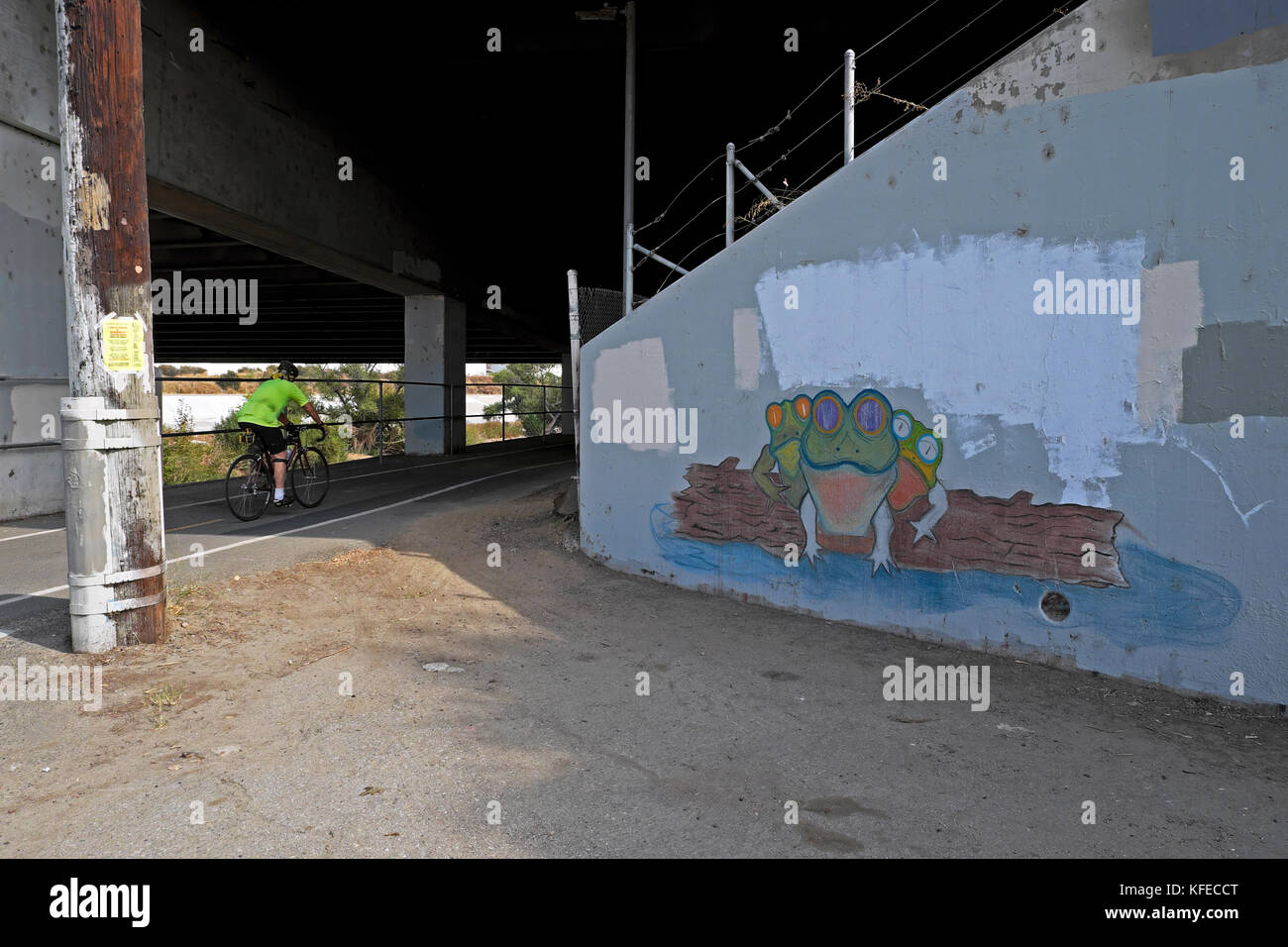 Uomo in bicicletta passato muro rana murale dipinto su Glendale Ponte Freeway a Frogtown in Elysian Valley NE Los Angeles CALIFORNIA USA KATHY DEWITT Foto Stock