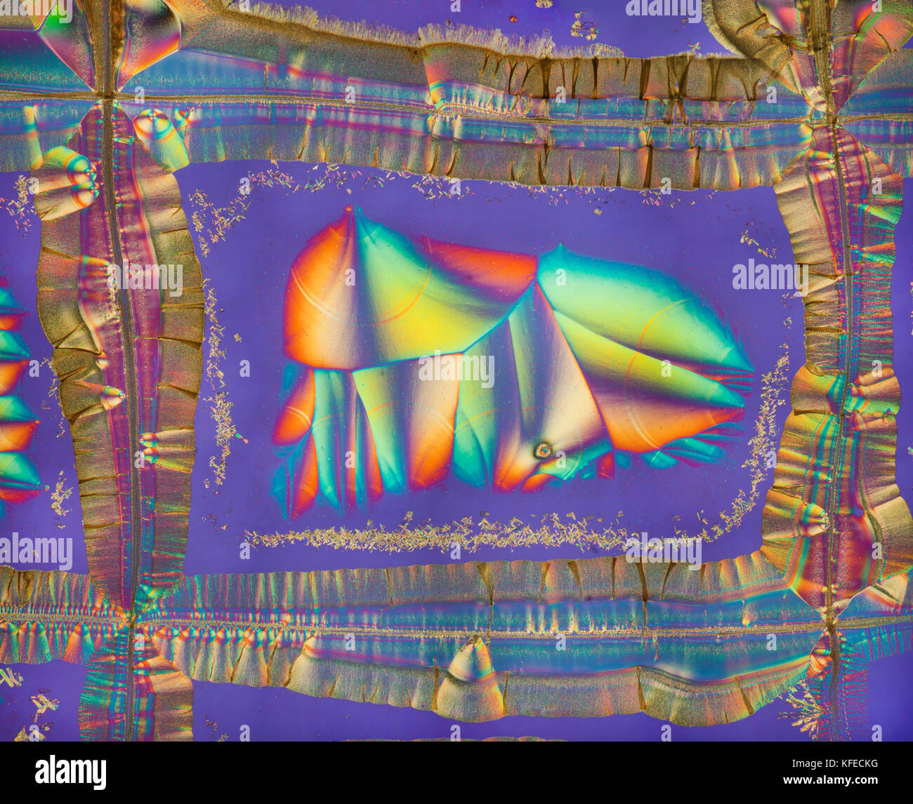 La vitamina C cristalli, spettacolare polarizzata incrociata diapositiva utilizzando la piastra di ritardo aggiunti, fotomicrografia Foto Stock
