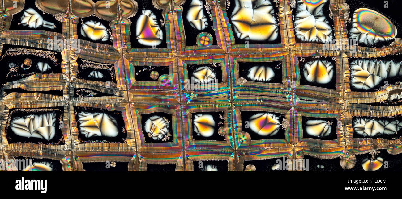 La vitamina C cristalli, spettacolare polarizzata incrociata diapositiva utilizzando la piastra di ritardo aggiunti, fotomicrografia Foto Stock