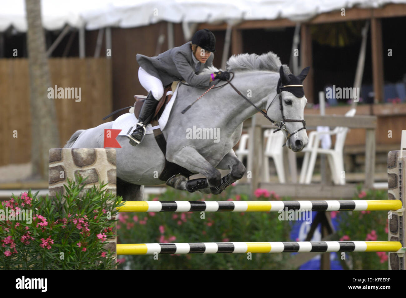 Mostra Nazionale del Cavallo, Velocità Classic Novembre 2006, Margie Engle (USA) riding nascosto del torrente Calippo 12 Foto Stock