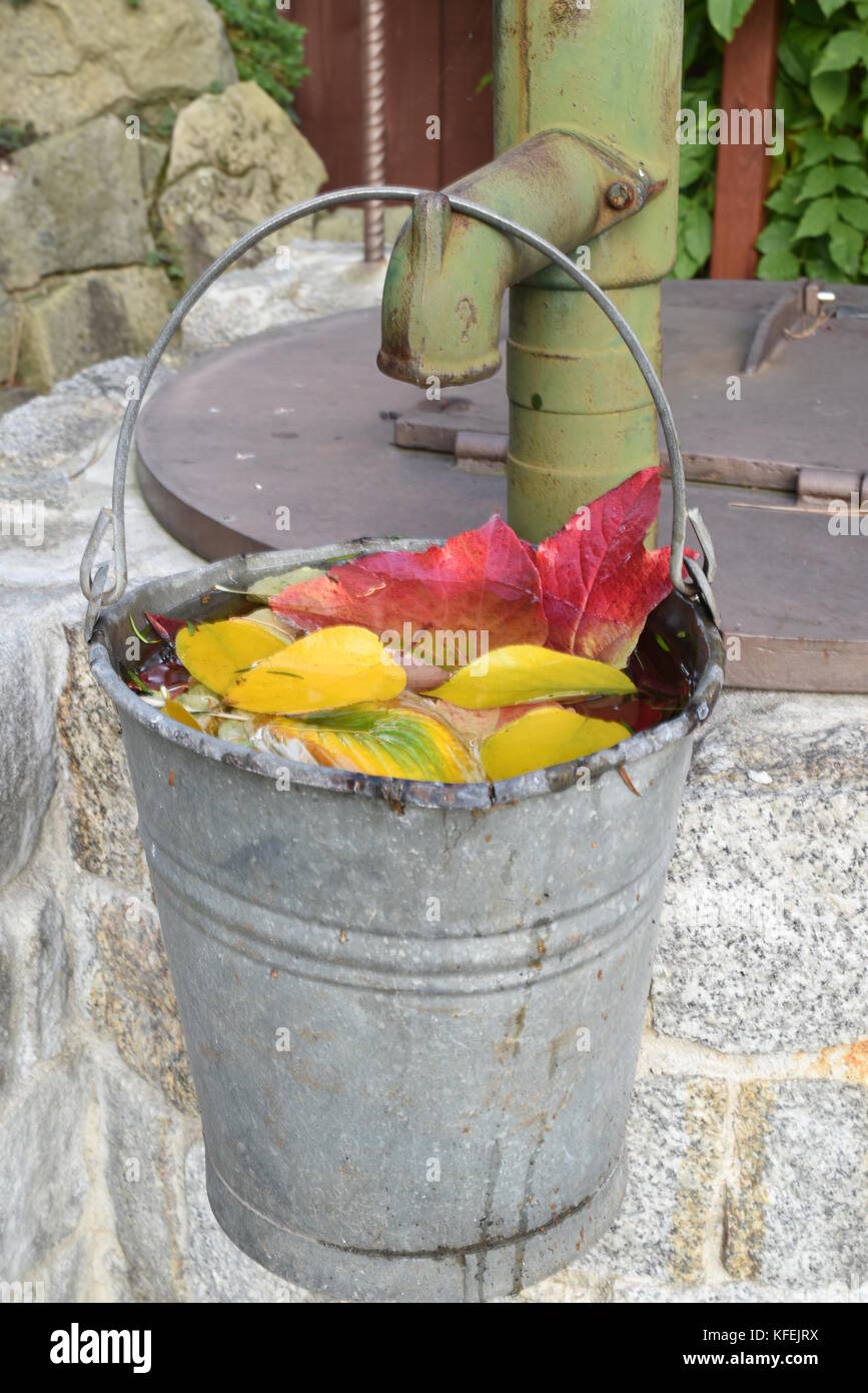 Un autunno giardino, un bene con una pompa a mano e un secchio di acqua e di foglie colorate Foto Stock