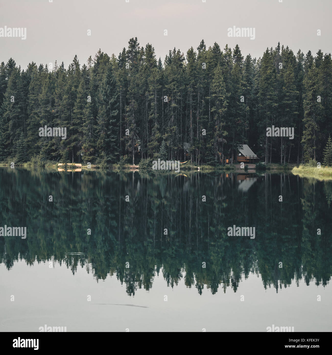 La riflessione di cabina con vista sulla foresta Foto Stock