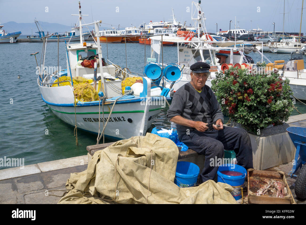 Fisherman pulisce i piccoli gattucci presso il porto di Naxos-città, isola di Naxos, Cicladi, Egeo, Grecia Foto Stock
