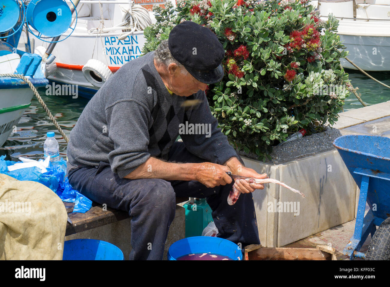 Fisherman pulisce i piccoli gattucci presso il porto di Naxos-città, isola di Naxos, Cicladi, Egeo, Grecia Foto Stock
