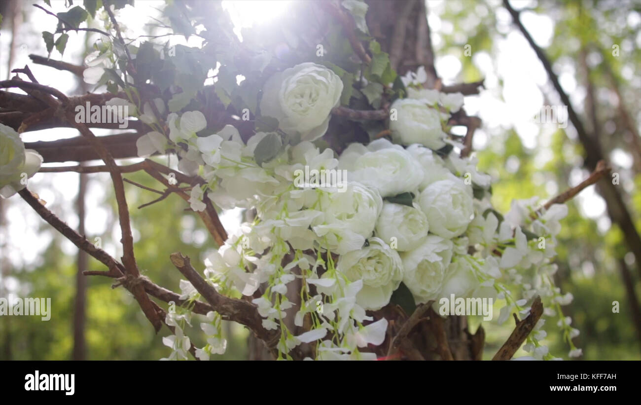 Incantevoli rose bianche. Fiori bianchi ornamentali sul sole luminoso. Teneri rose in giardino. Bellissime rose con foglie e spine verdi. Due gemme di fiori di una rosa bianca da vicino. Bellissimo bokeh e i raggi del sole. Foto Stock