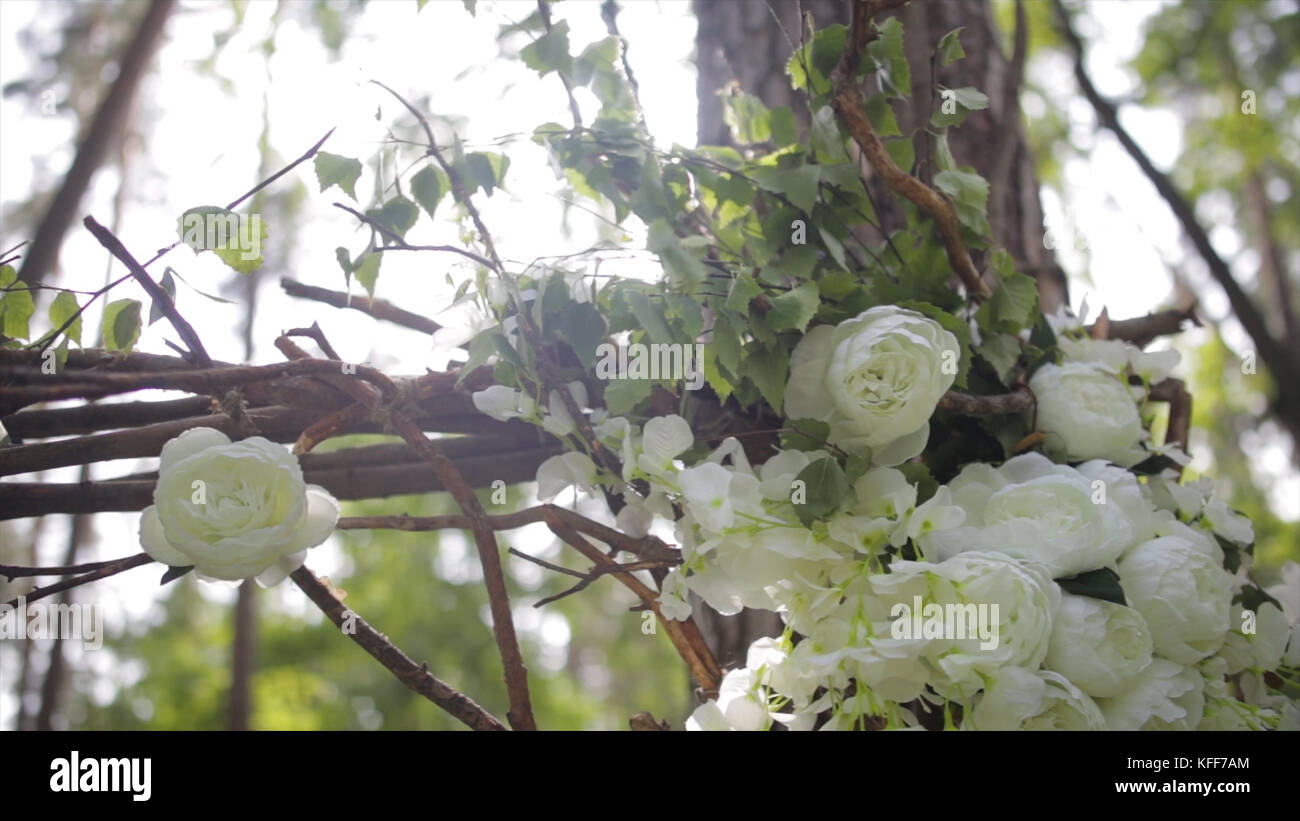 Incantevoli rose bianche. Fiori bianchi ornamentali sul sole luminoso. Teneri rose in giardino. Bellissime rose con foglie e spine verdi. Due gemme di fiori di una rosa bianca da vicino. Bellissimo bokeh e i raggi del sole. Foto Stock