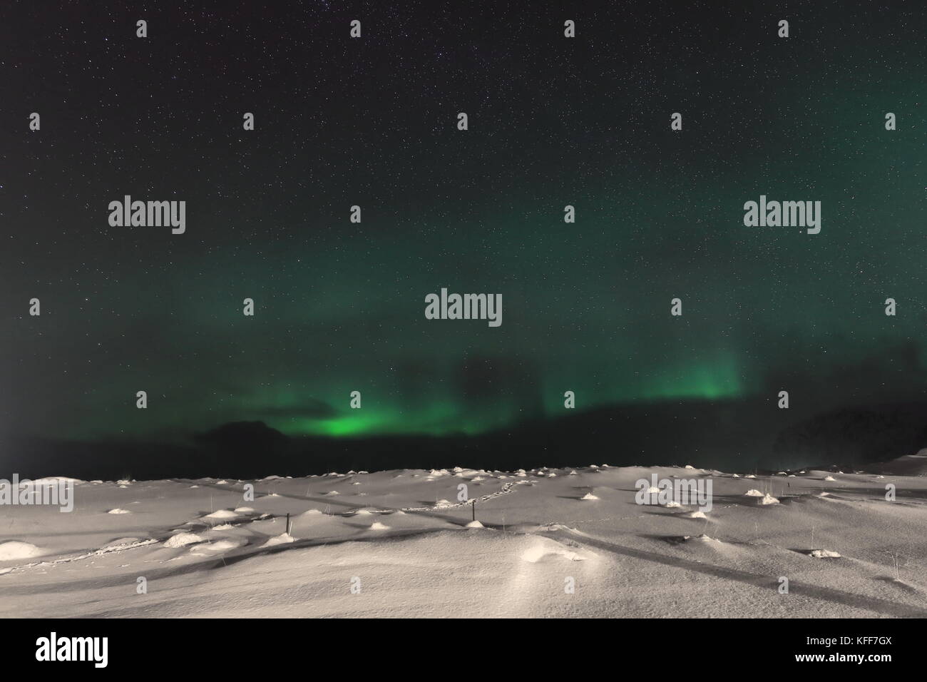 Luci verdi-aurora boreale illuminare dalla n.Il sandelva river plain e spiaggia a yttresand villaggio sulla baia di sandbotnen-n.moskenesoya isola su un Foto Stock