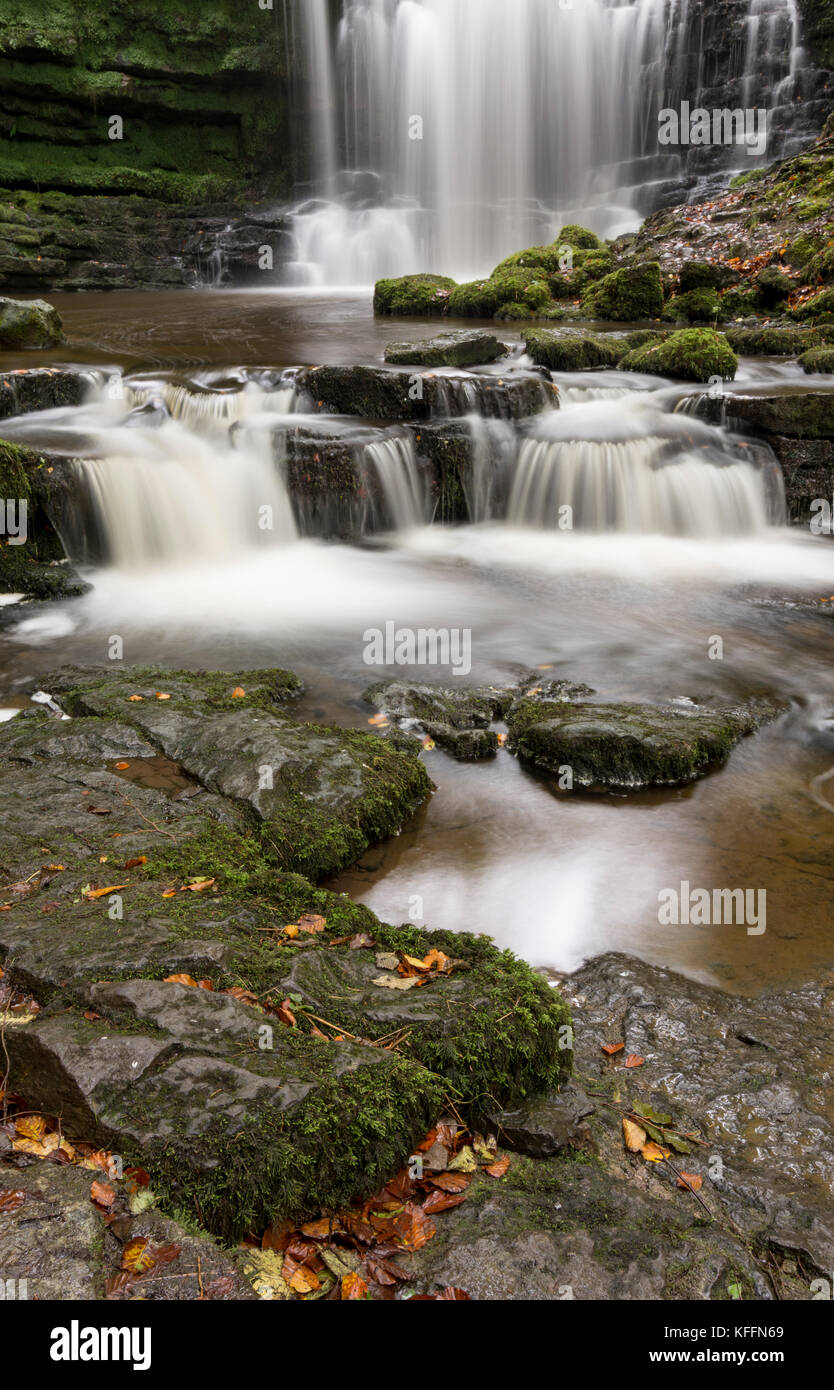 Autunno di scena a forza Scaleber, Settle, Regno Unito Foto Stock