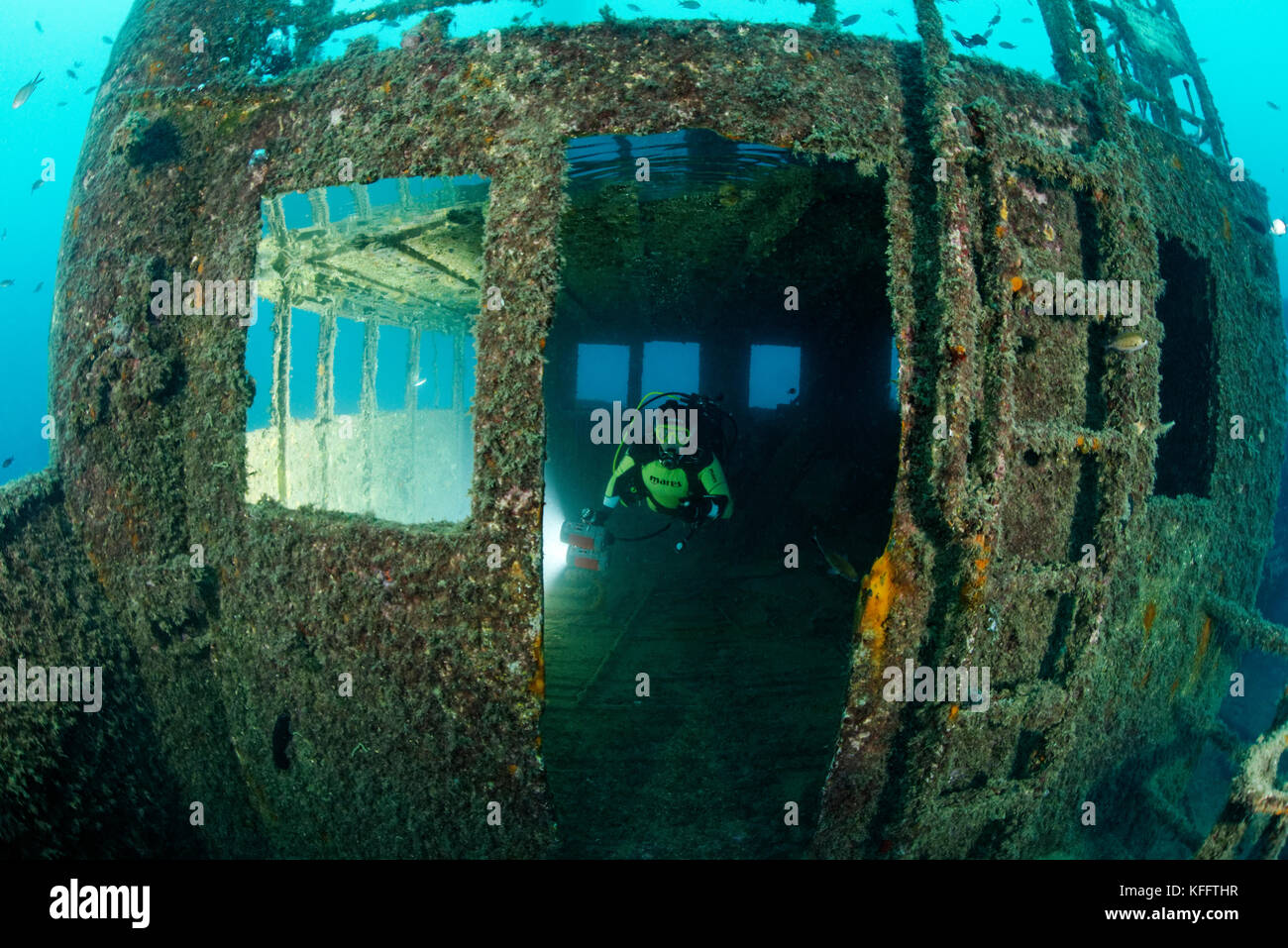 Relitto Peltastis e immersioni subacquee, Mar Adriatico, Mar Mediterraneo, Krk, Golfo del Quarnero o Baia, Croazia Foto Stock