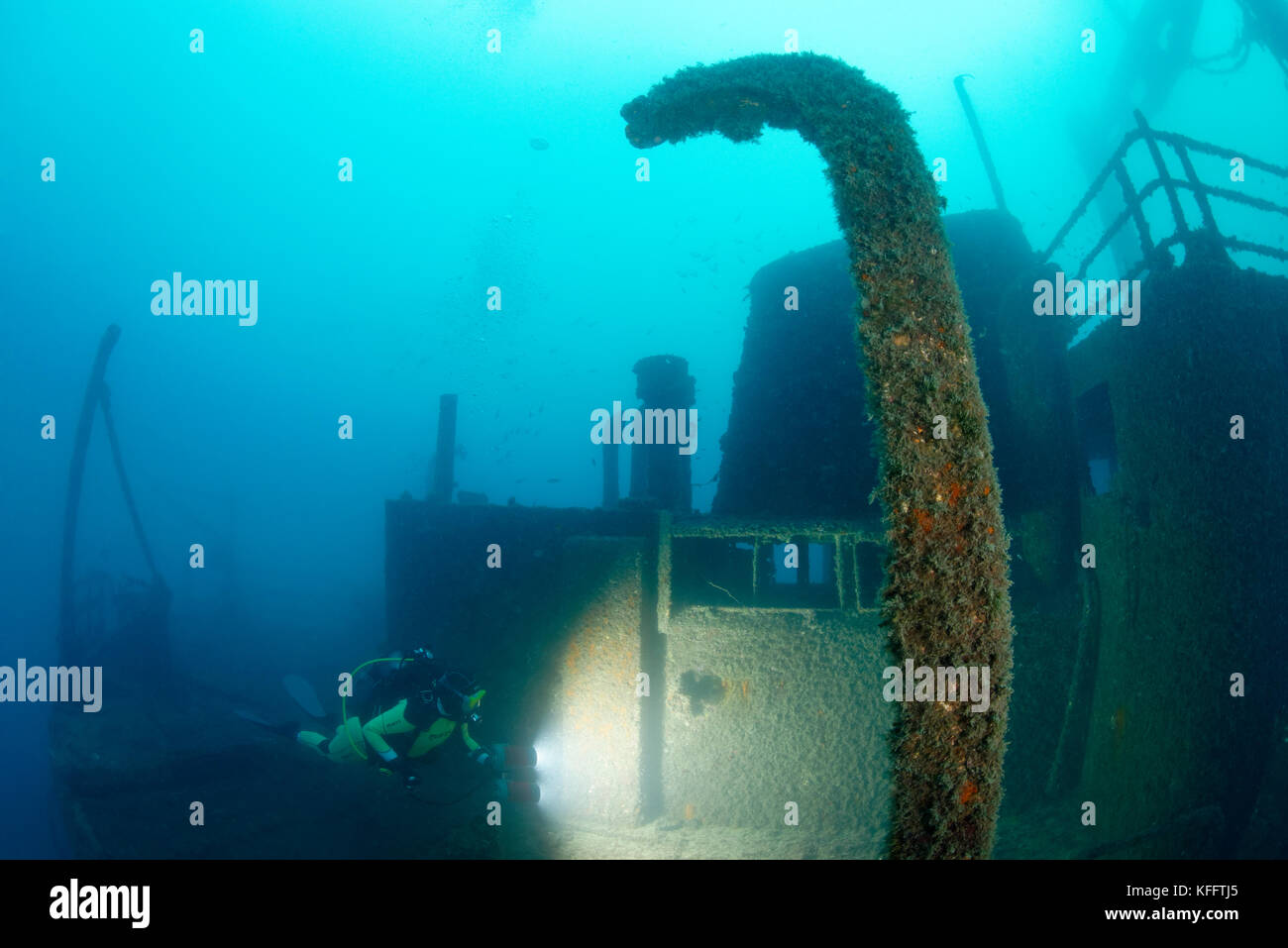 Naufragio peltastis e scuba diver, mare adriatico, mare mediterraneo, Krk, golfo di Kvarner o bay, Croazia Foto Stock