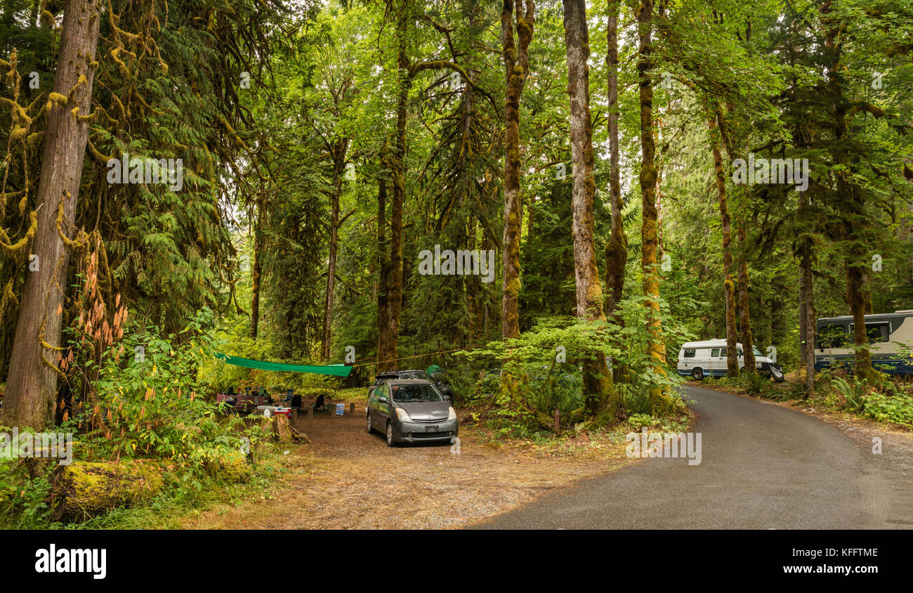 Campeggio Hamma Hamma, foresta pluviale temperata nella Olympic National Forest, stato di Washington, Stati Uniti Foto Stock