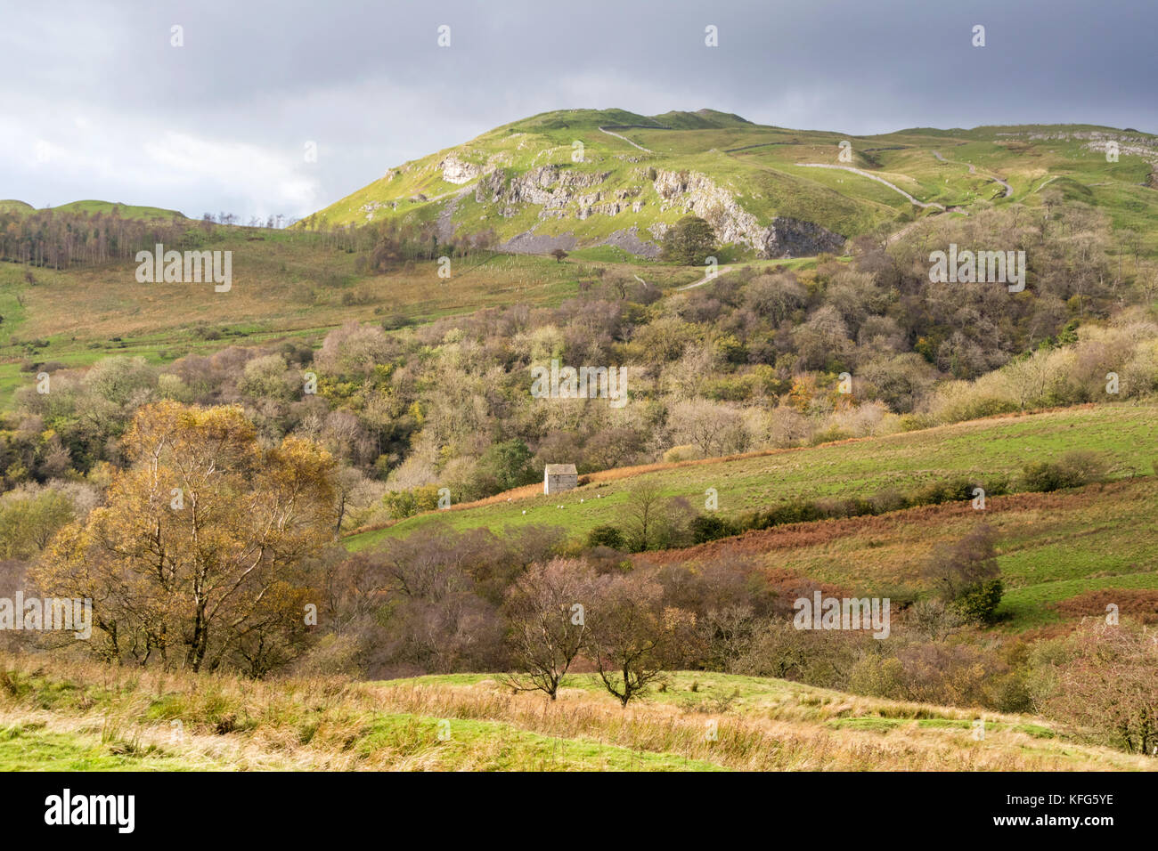 Monte Ida di cui sopra legno Swindale vicino Brough, Northern Pennines, England, Regno Unito Foto Stock