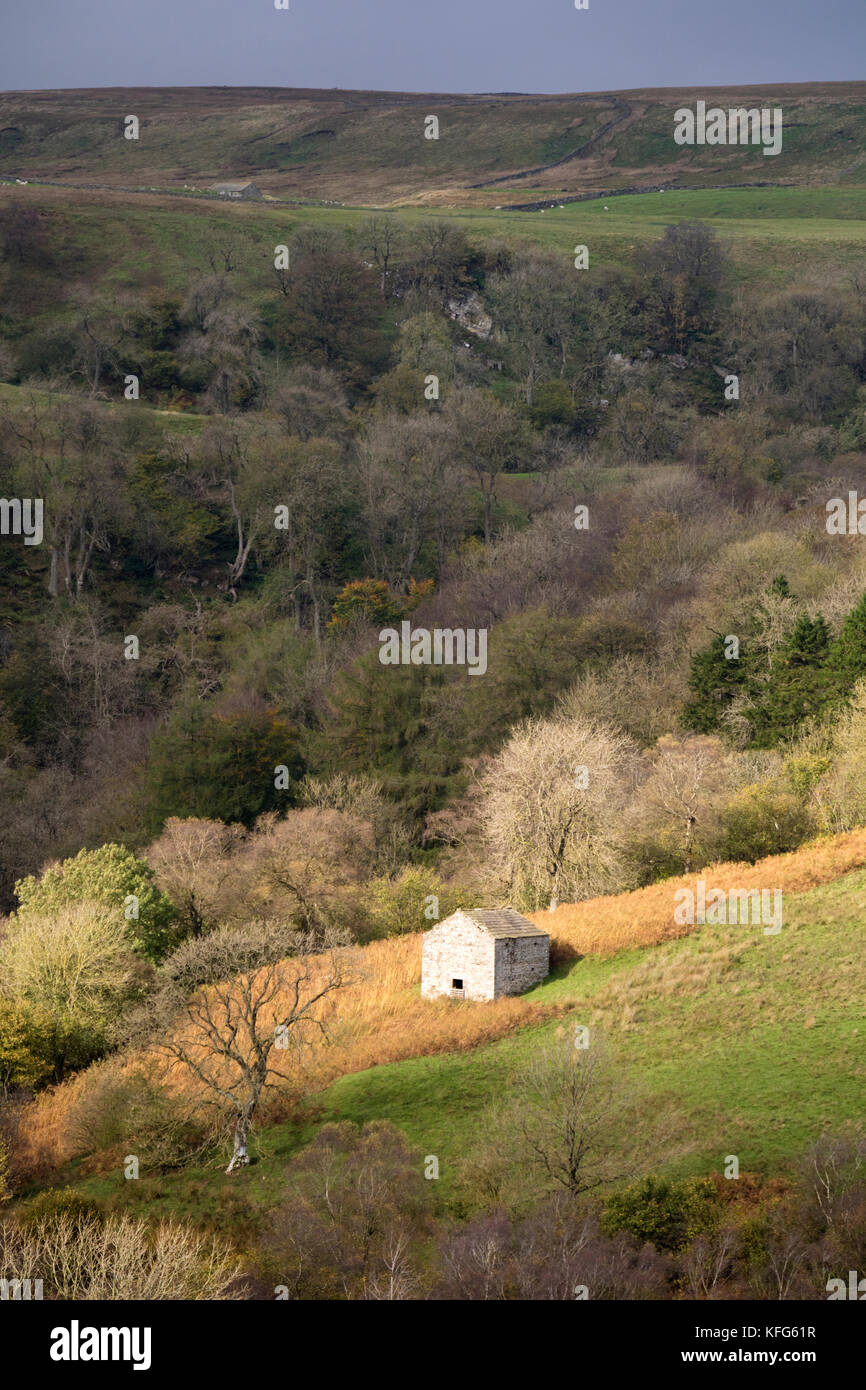 Monte Ida di cui sopra legno Swindale vicino Brough, Northern Pennines, England, Regno Unito Foto Stock