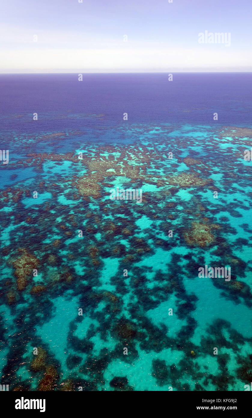 Vista aerea di Thetford Reef, della Grande Barriera Corallina, vicino a Cairns, Queensland, Australia Foto Stock
