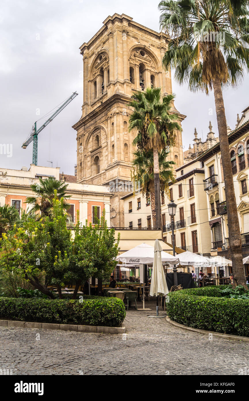 Torre, Metropolitan Santa Chiesa Cattedrale dell incarnazione, spagnolo del Rinascimento e del barocco, Granada, Andalusia Foto Stock