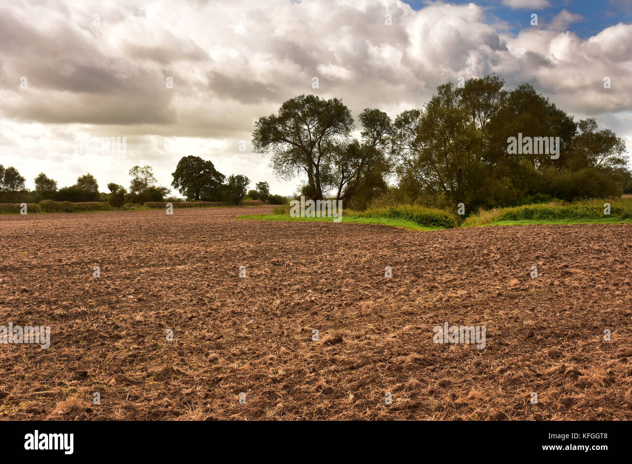 Paesaggio con campo arato vicino Lechlade, in Cotswolds, Inghilterra Foto Stock