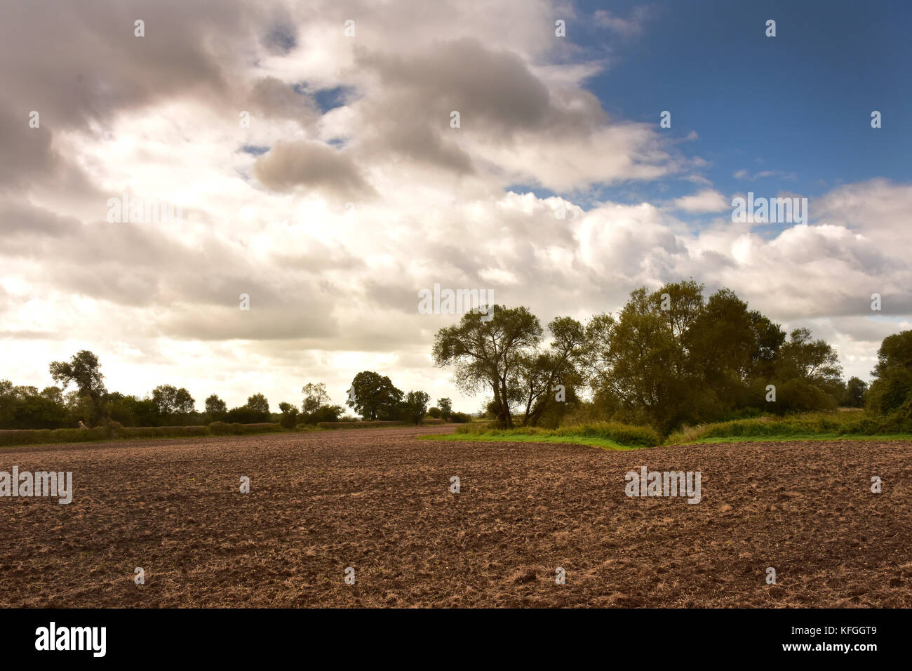 Paesaggio con campo arato vicino Lechlade, in Cotswolds, Inghilterra Foto Stock