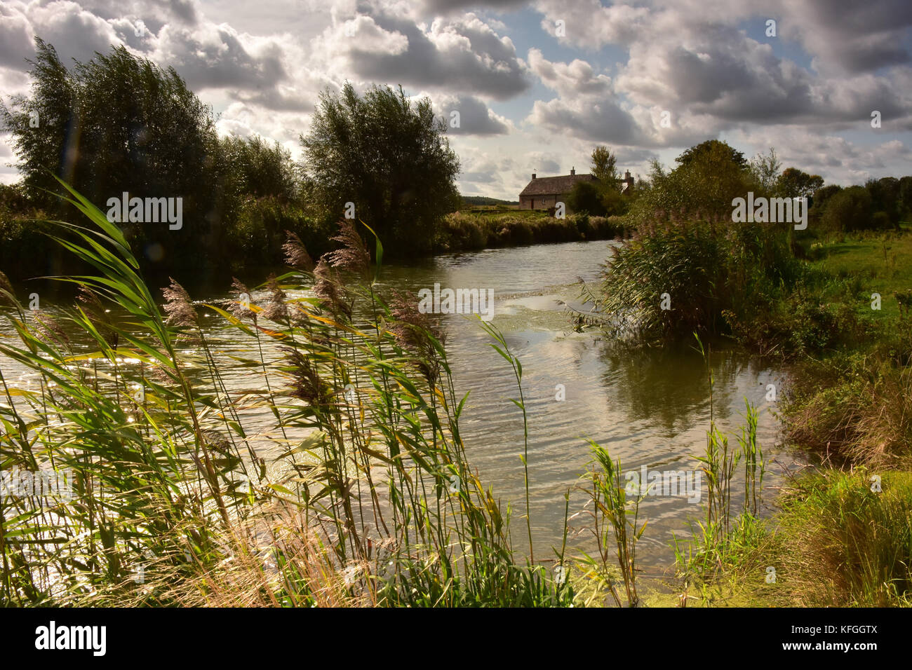 Il fiume Tamigi paesaggio vicino Lechlade, Wiltshire, Inghilterra, sul percorso di doma Foto Stock