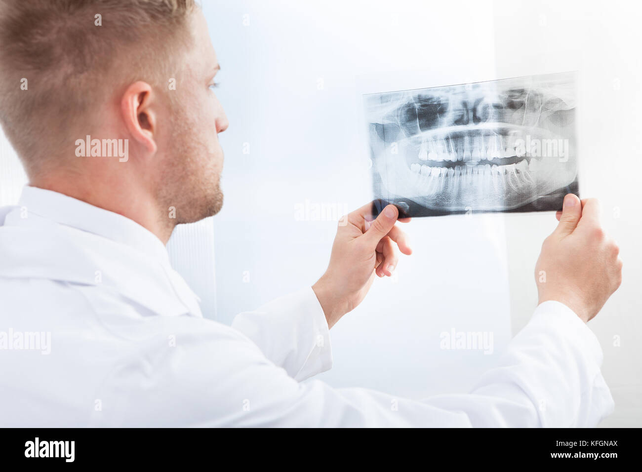 Medico studiando una pellicola a raggi x tenendolo fino alla luce come egli fa la sua diagnosi o verifiche sullo stato di avanzamento del trattamento Foto Stock