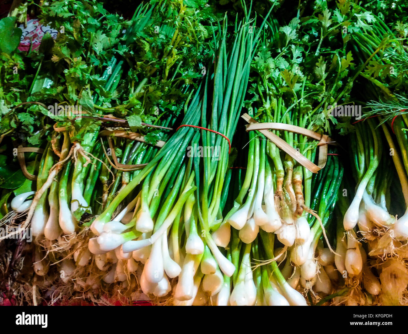Abbondanza di raccolti di fresco cipolline e le verdure a foglia verde a un mercato agricolo Foto Stock