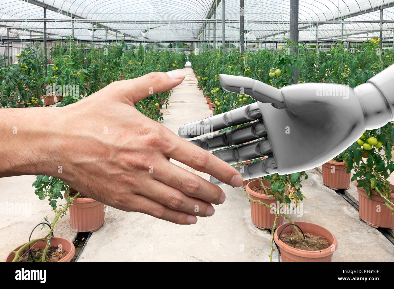 Smart agricoltura , intelligenza artificiale (AI) advisor o robo-consigliere tecnologia. Stringe la mano di Orchard agricoltore e automazione robot con automat Foto Stock