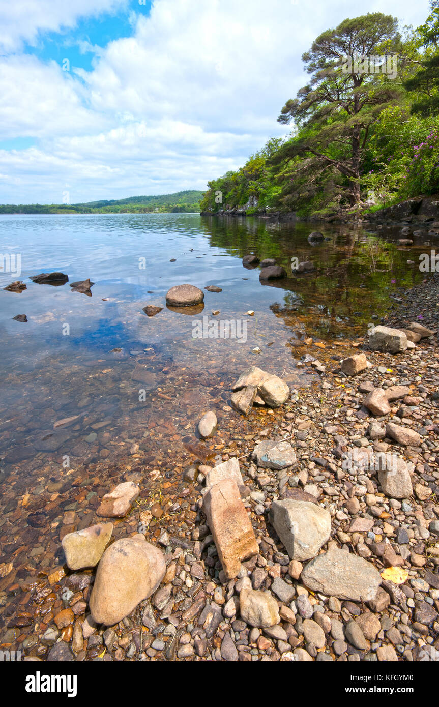 Muckross Lake, il Parco Nazionale di Killarney, nella contea di Kerry, Irlanda Foto Stock