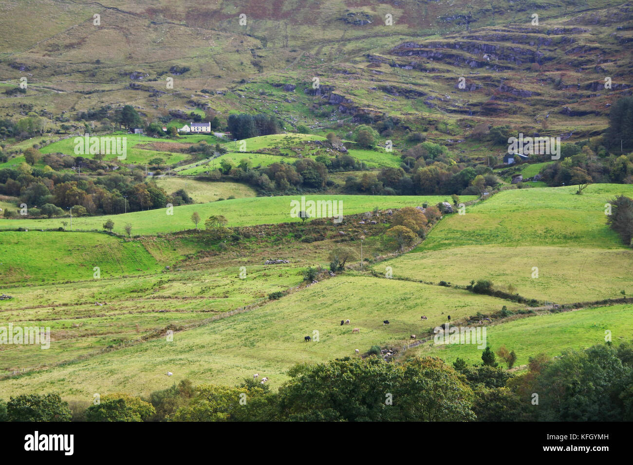 Paesaggio vicino Bonane, Kenmare, Contea di Kerry, Irlanda - John Gollop Foto Stock