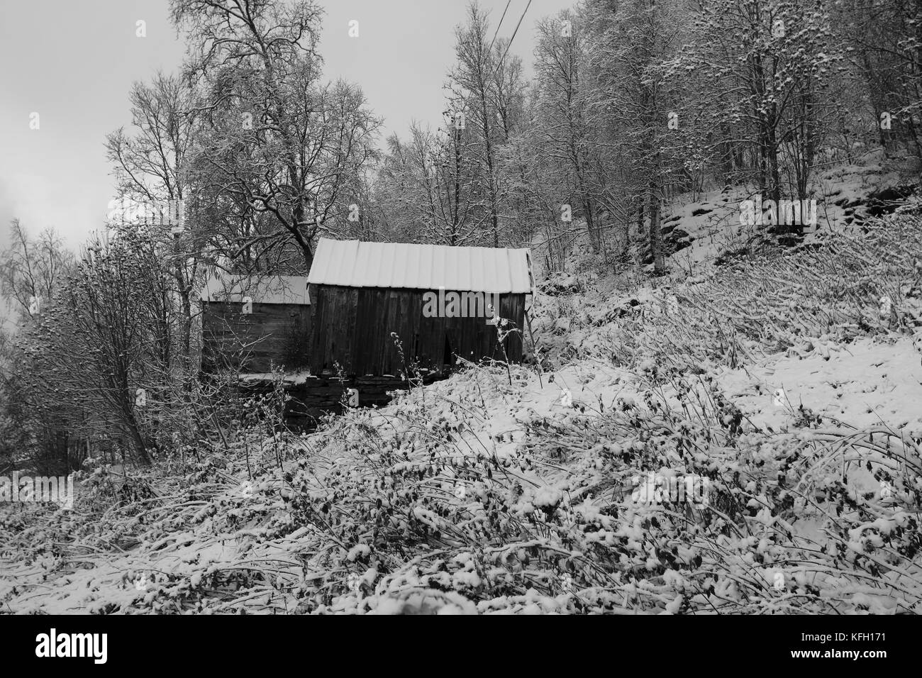 Il vecchio fienile grigio nella foresta di inverno Foto Stock