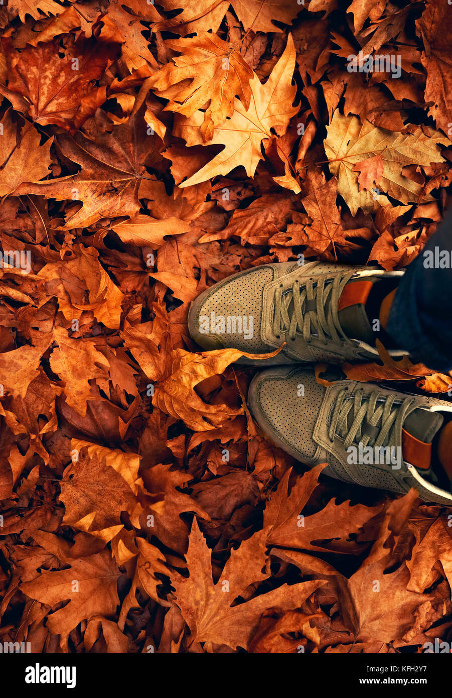 Scarpe donna sulla terra, pavimento coperto a secco con foglie di autunno, passeggiate nel parco, autunno Meteo concept Foto Stock