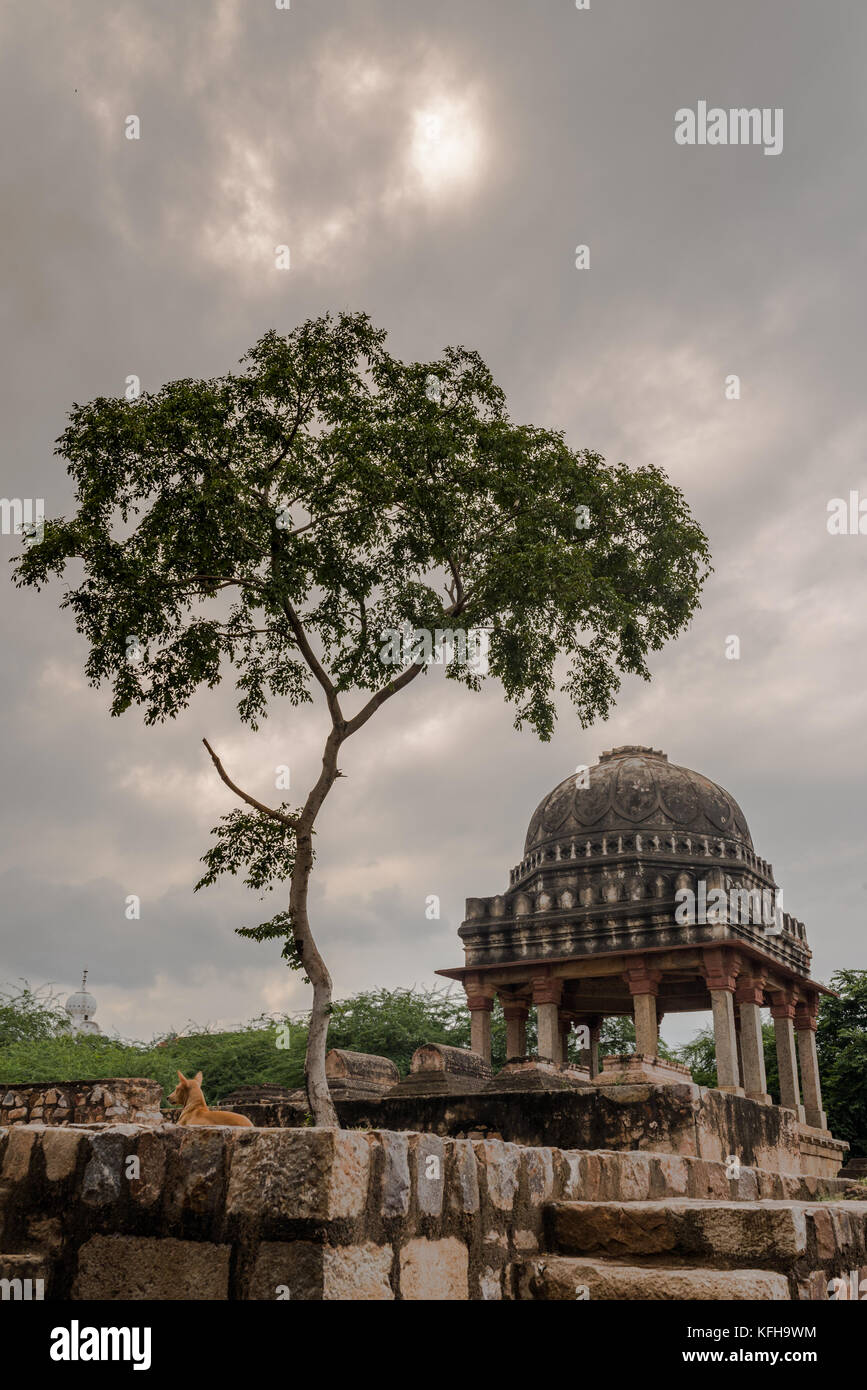 Baolis di mehrauli Foto Stock