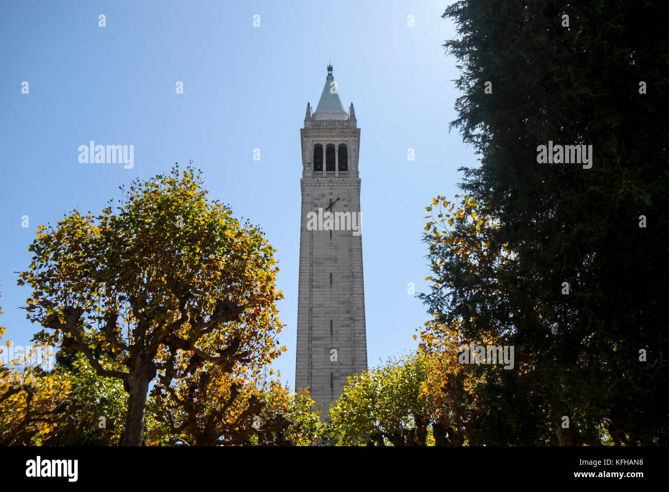 Sather torre campanile, presso la University of California a Berkeley, California, Stati Uniti Foto Stock