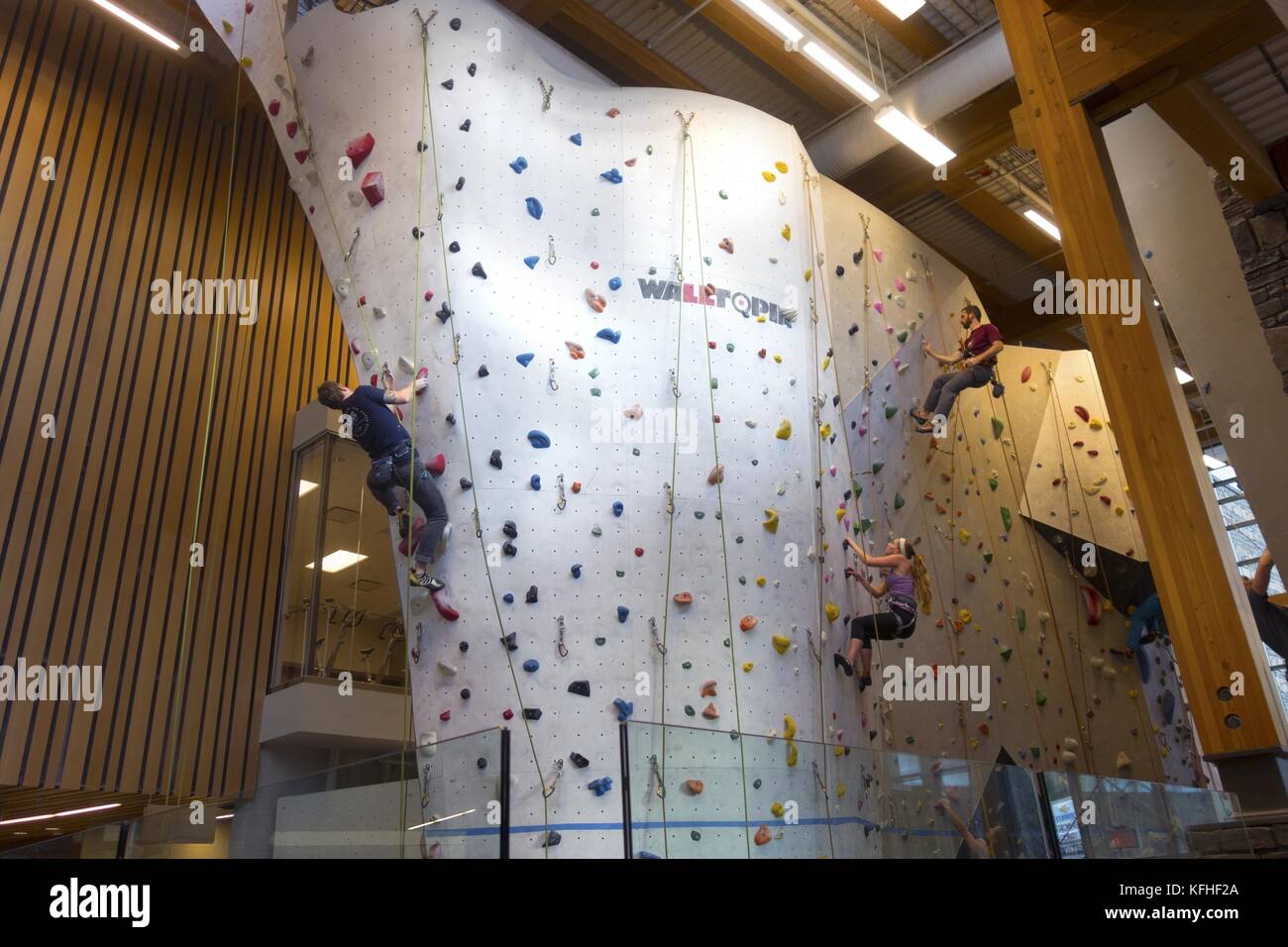 Gli alpinisti di scalatura roccia verticale Parete di arrampicata in luogo di elevazione struttura ricreativa in canmore alberta Foto Stock